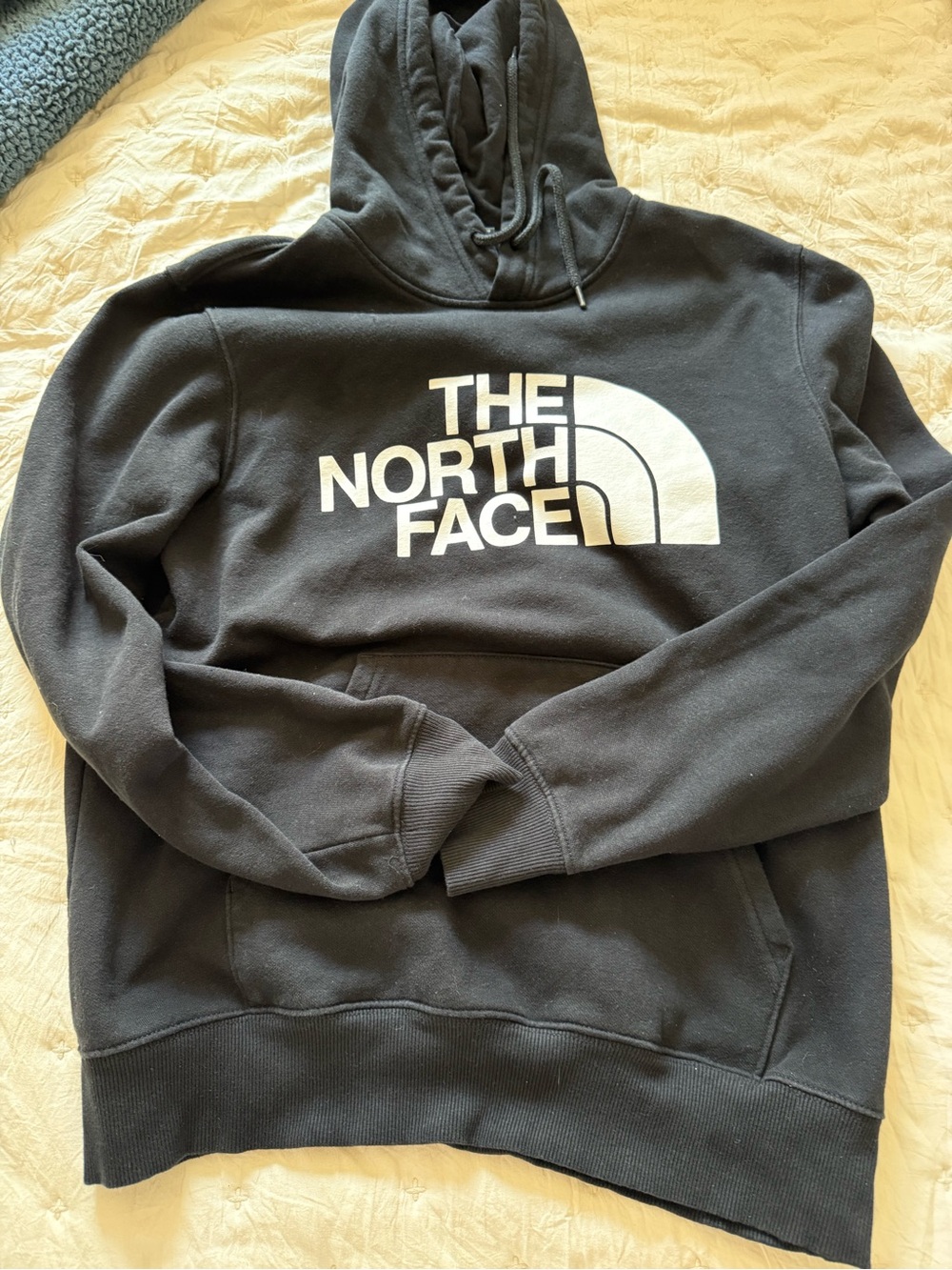 The North Face Men’s m Black Half Dome Logo Pullover Hoodie